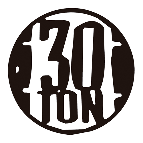 Download vector logo 30 ton Free
