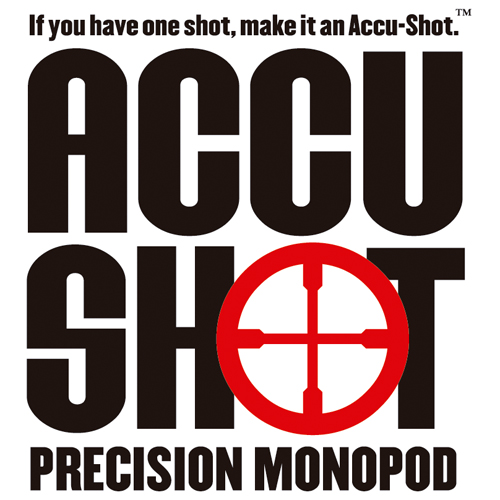 Download vector logo accu shot Free