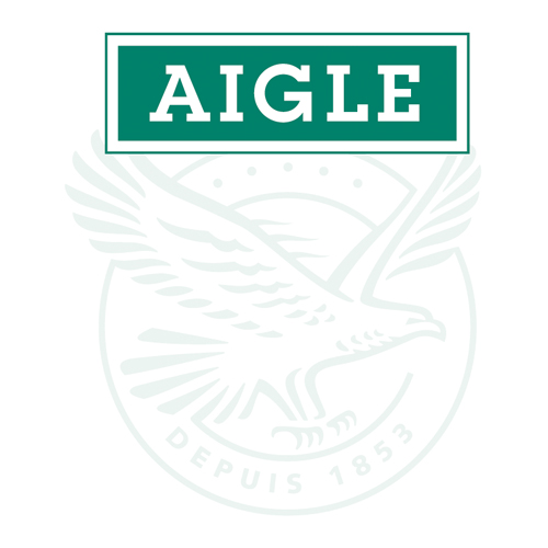 Download vector logo aigle Free