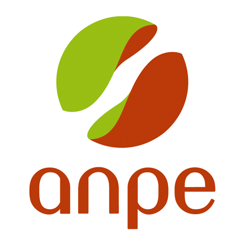 Download vector logo anpe 219 Free