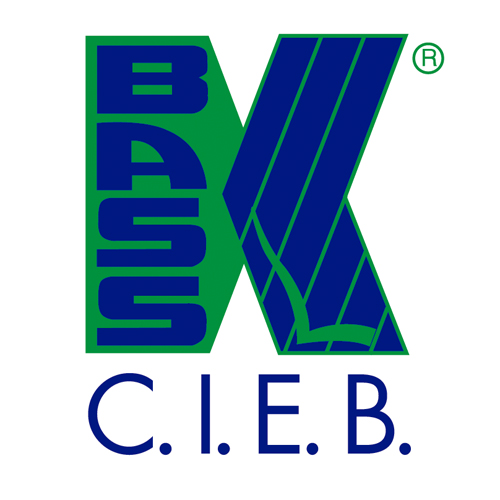 Download vector logo bass cieb Free