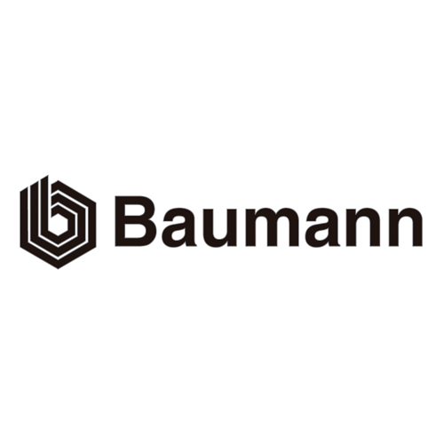 Descargar Logo Vectorizado baumann Gratis