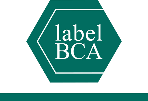 Download vector logo bca label Free