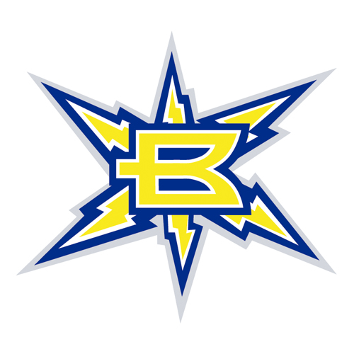 Descargar Logo Vectorizado birmingham bolts 255 Gratis