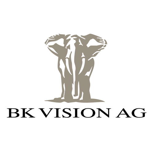 Download vector logo bk vision Free