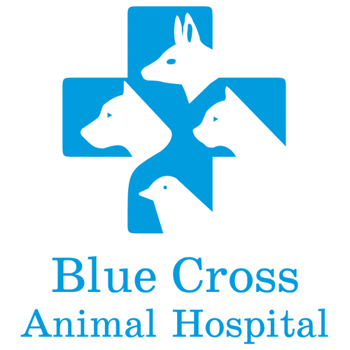 Download vector logo blue cross animal hospital Free
