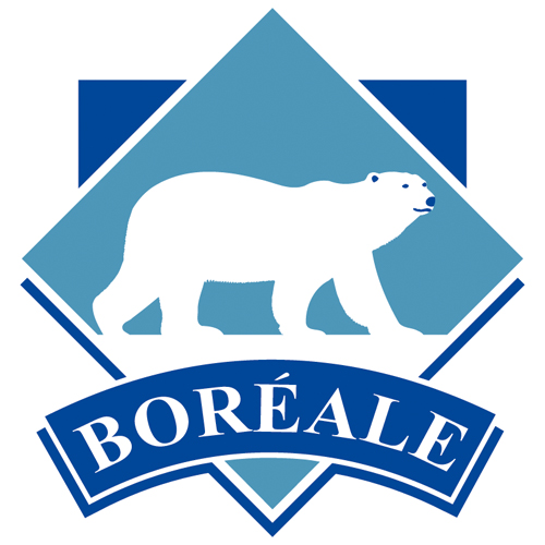 Descargar Logo Vectorizado boreale 69 Gratis