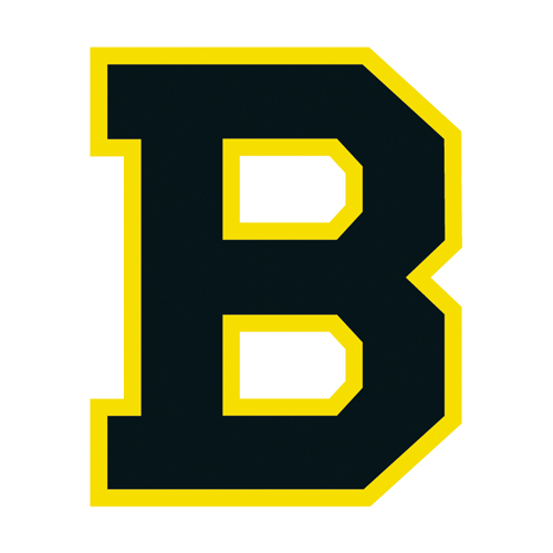 Download vector logo boston bruins 97 Free