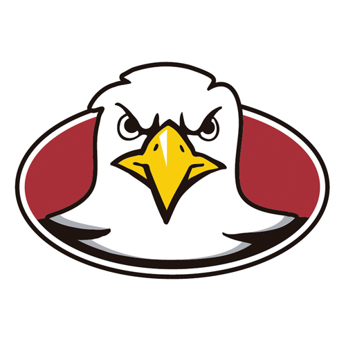 Download vector logo boston college eagles 110 Free