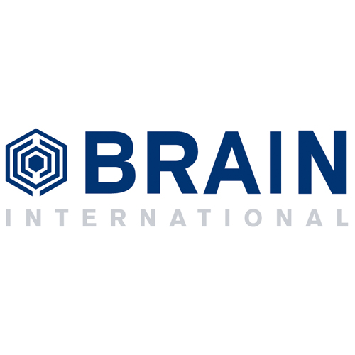 Descargar Logo Vectorizado brain international Gratis