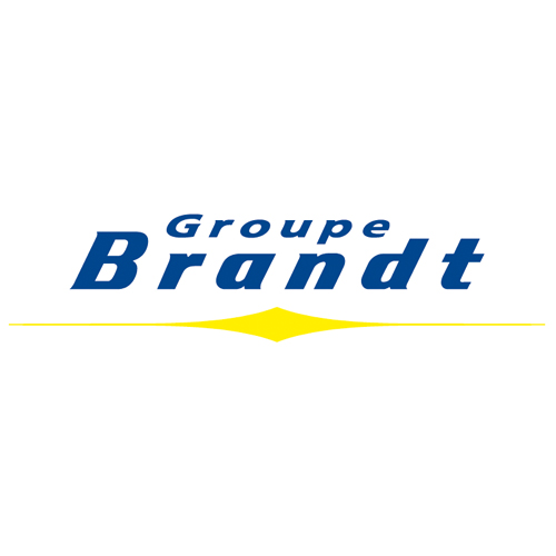 Descargar Logo Vectorizado brandt group Gratis