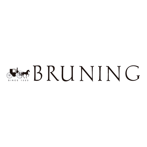 Download vector logo bruninng Free