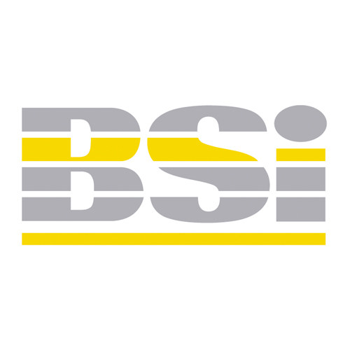 Download vector logo bsi 295 EPS Free