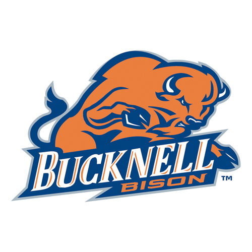 Download vector logo bucknell bison 320 Free