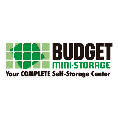 Download vector logo budget mini storage Free