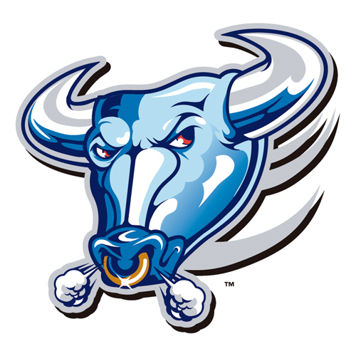 Download vector logo buffalo bulls 362 Free