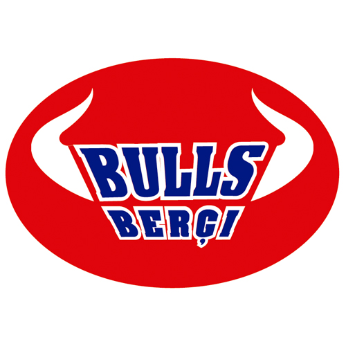 Descargar Logo Vectorizado bulls bergi 389 Gratis