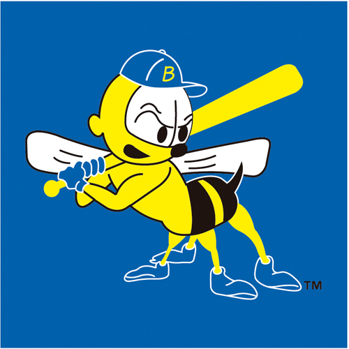Descargar Logo Vectorizado burlington bees 415 Gratis