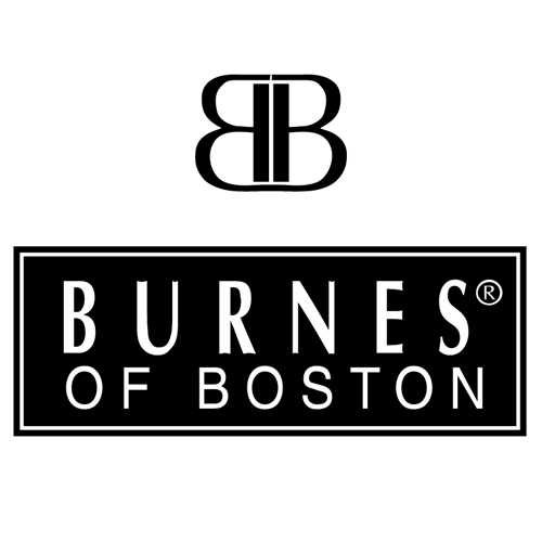 Download vector logo burnes of boston Free