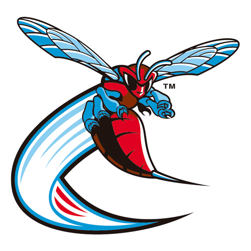 Descargar Logo Delaware State Hornets 191 Eps Ai Cdr Pdf Vector Gratis