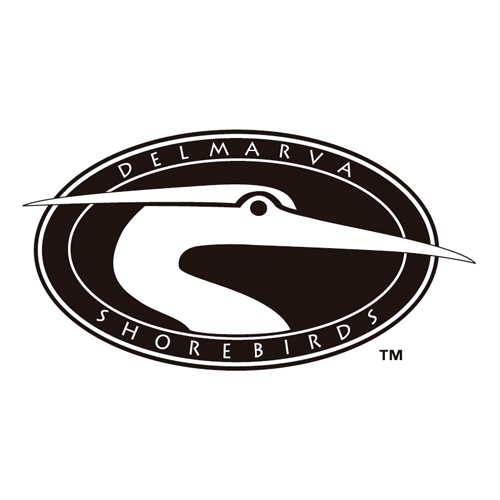 Descargar Logo Vectorizado delmarva shorebirds Gratis