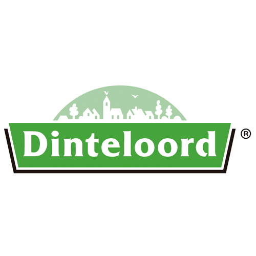Download vector logo dinteloord Free
