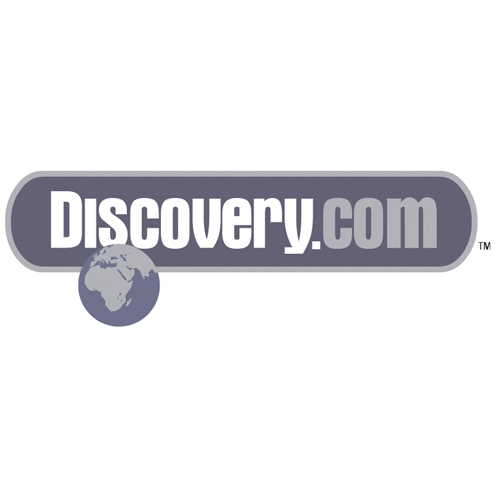 Download vector logo discovery com Free