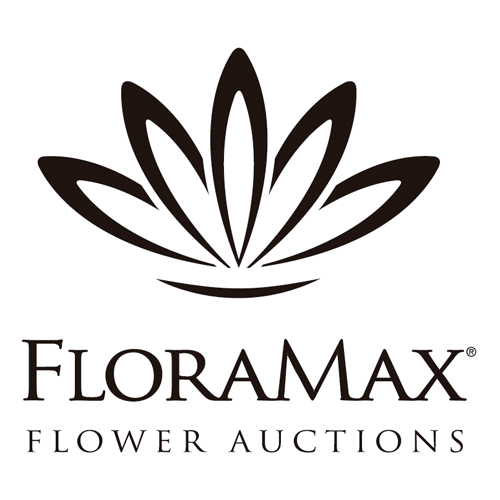 Download vector logo floramax Free