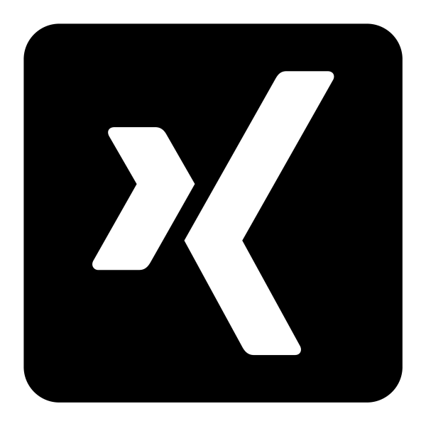 Icono Xing en PNG HD, alta calidad