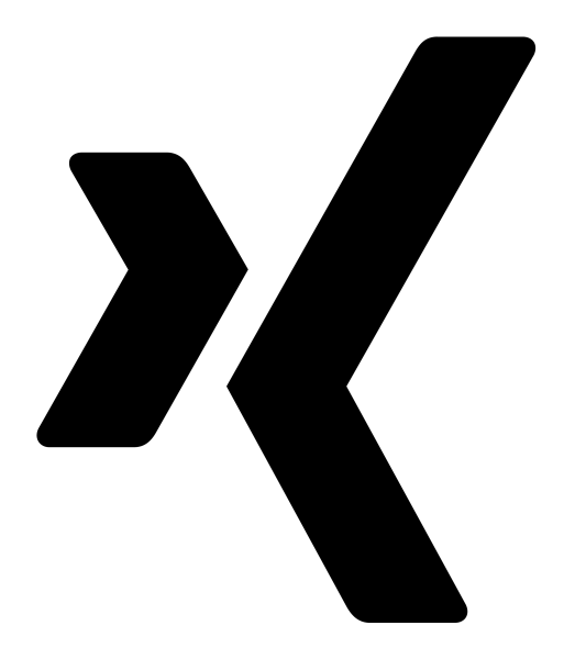 Icono Xing en formato vectorial