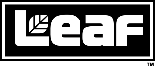 Download vector logo leaf Free