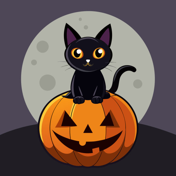 Plantilla Sleek Black Cat Sitting On Pumpkin en PNG HD, alta calidad