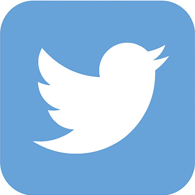 Download vector logo twitter Free