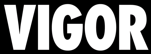 vigor Logo PNG Vector Gratis